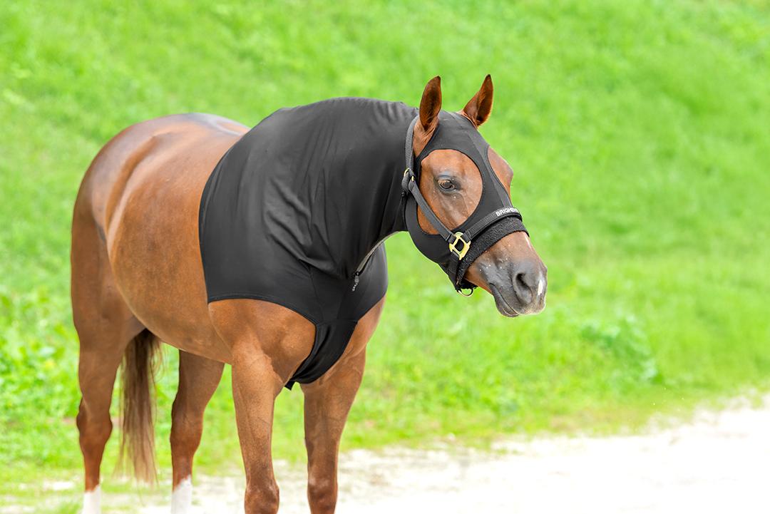 WEAR IT